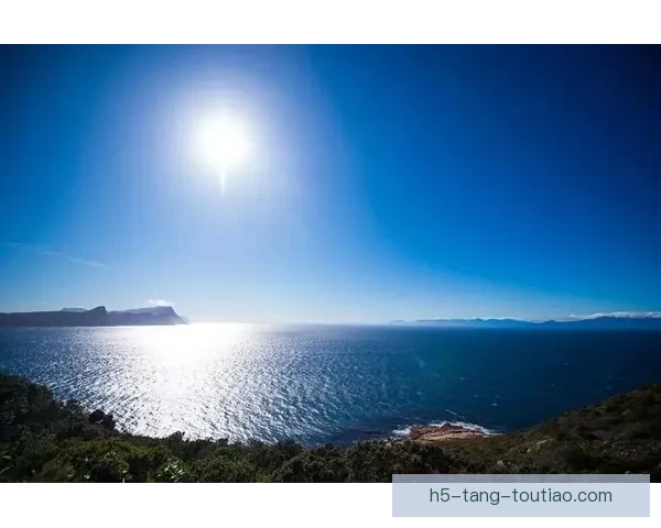 探索“海角首页网址”：开启数字世界的无限可能